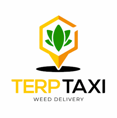 TerpTaxi  Weed Delivery NJ